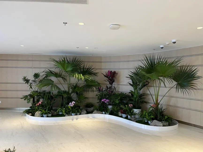 想租花卉？余姚花卉出租价格抢先看